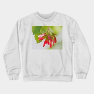 Red Seeds of Maple Tree Crewneck Sweatshirt